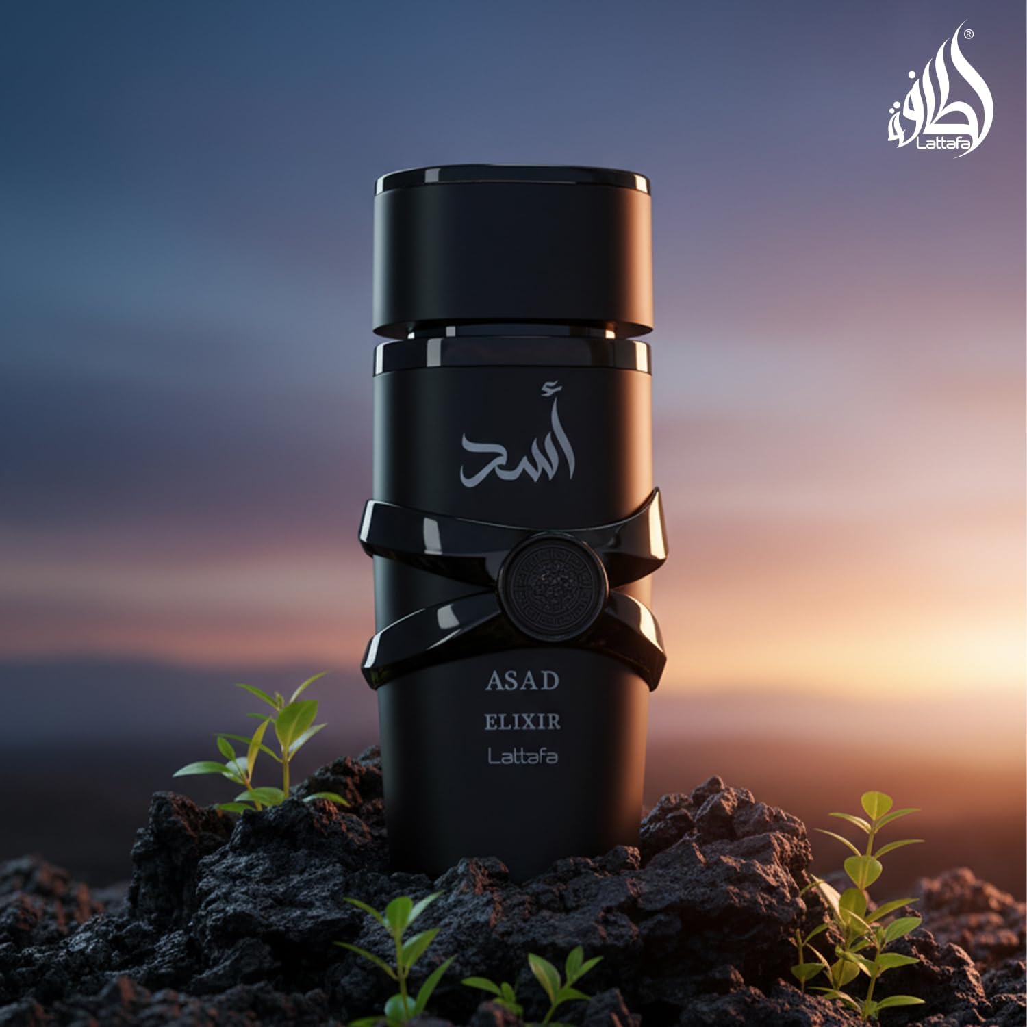 Lataffa asad Elixr.jpg